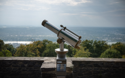 Seizing the Moment: How Economic Optimism Can Drive Growth in 2025