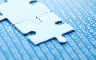 Digital Disconnect: How to Match Your Marketing to Consumer Preferences