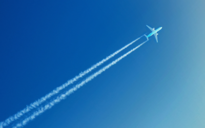Momentum in the Market: Why Life Insurance Growth Isn’t Slowing in 2025